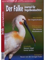 Der Falke 9/2024