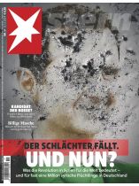 STERN 51/2024 "Der Schlächter fällt. Und nun? (Assad)"