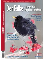 Der Falke 1/2025