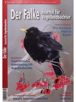 Der Falke 1/2025