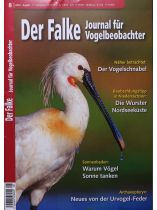 Der Falke 8/2024